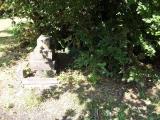 image of grave number 417042